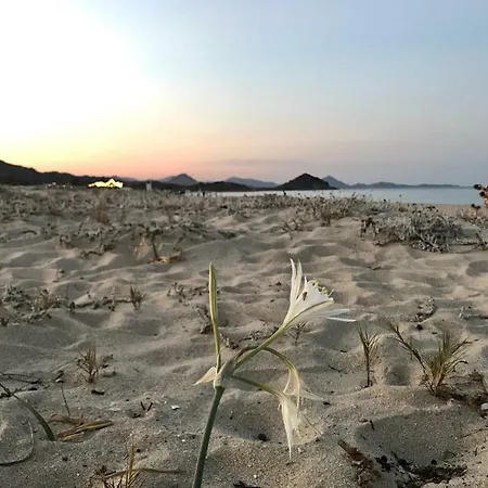 Lejlighed Marianna Castiadas