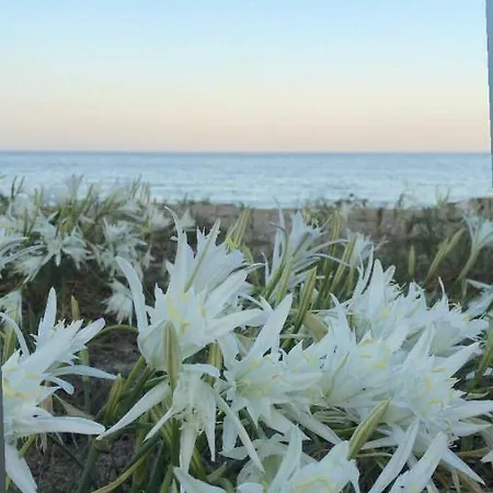 Marianna * Castiadas