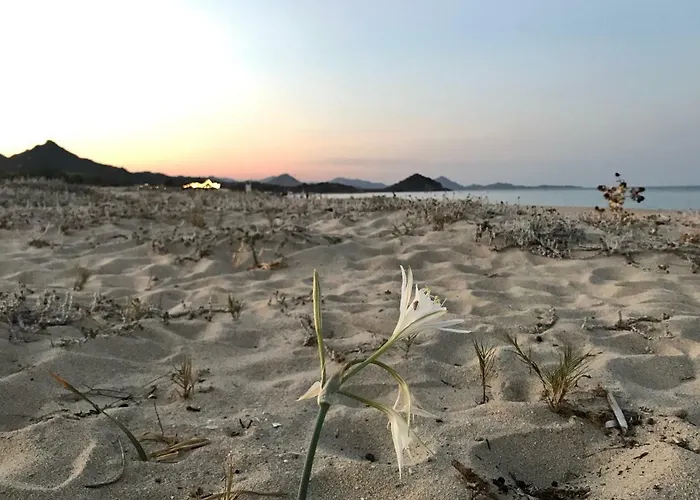 Appartement Marianna Castiadas