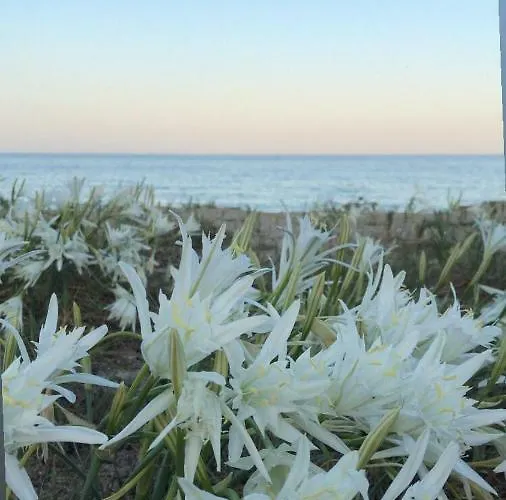 Marianna * Castiadas